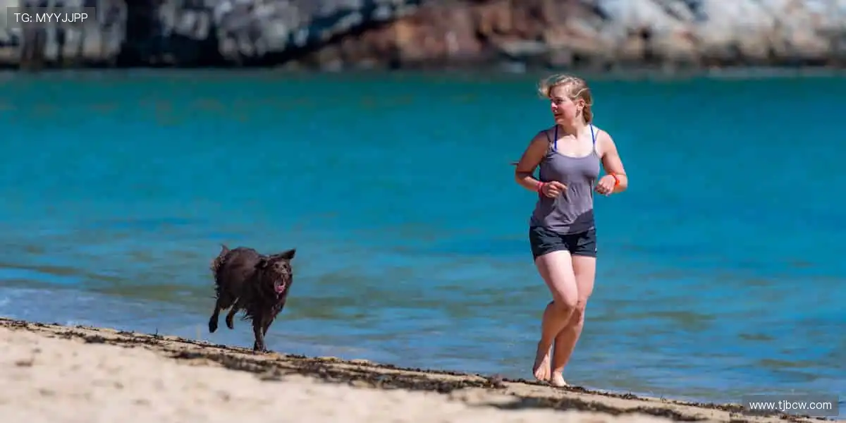 🏀 高清直播，实时尖叫，与全球球迷同频共振！